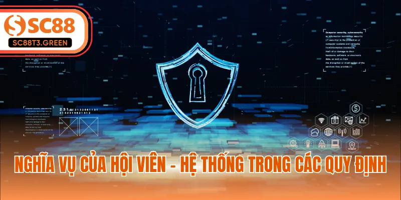 Nghĩa vụ của hội viên - hệ thống trong các quy định