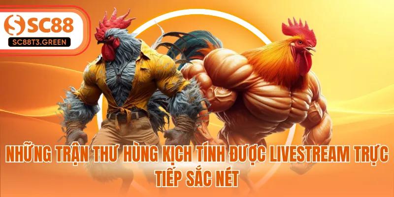 Những trận thư hùng kịch tính được livestream trực tiếp sắc nét